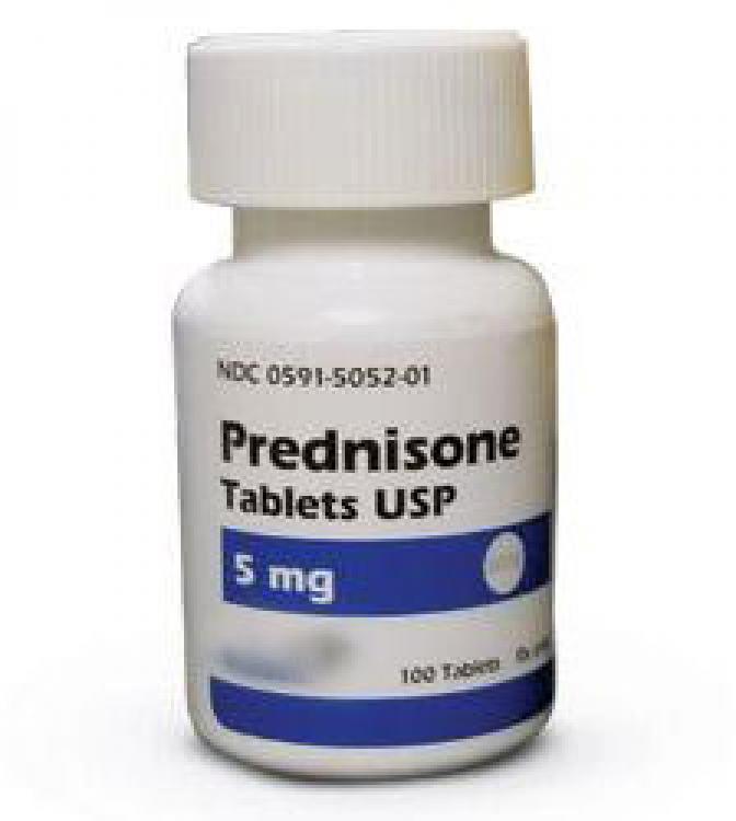 buy Prednisone